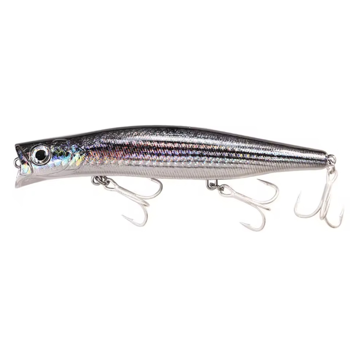 Attention Seeker 124F - Bonito