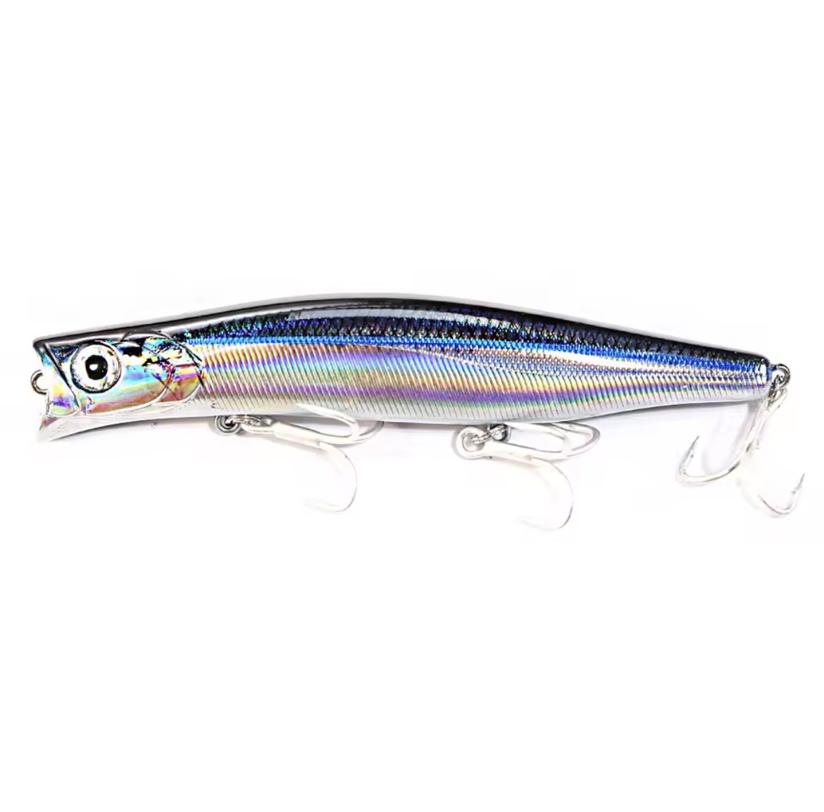 Attention Seeker 124F - Shiny Pilchard