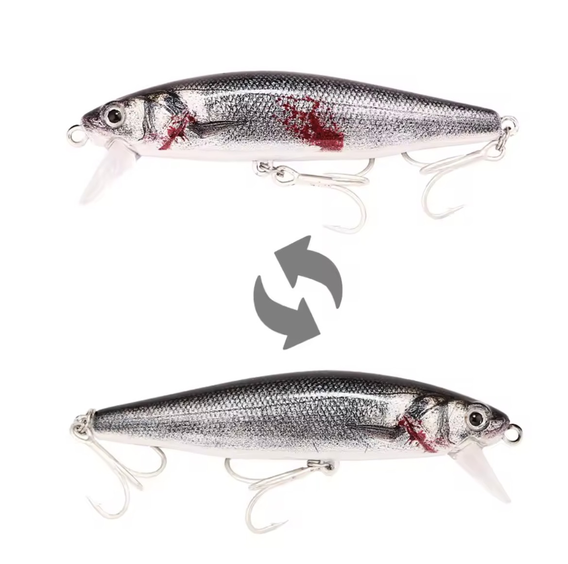 Saltwater Diver - Bleeding Scad